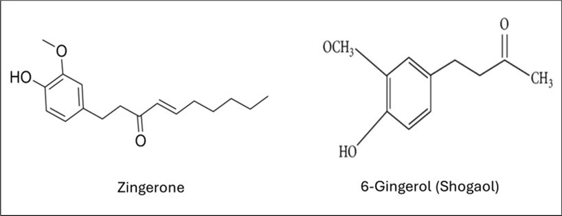 Structures of the active ingredients (zingerone and 6-gingerol) identified in ginger rhizome extracts.